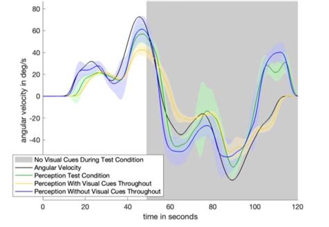 Image result for Angular Velocity Visual