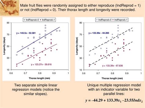 Parallel Regression Lines എന്നതിനുള്ള ഇമേജ് ഫലം