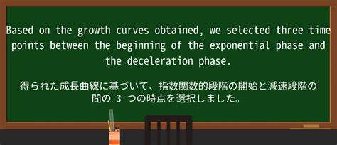 Exponential Transformation に対する画像結果