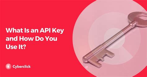 Image result for API Key Meaning