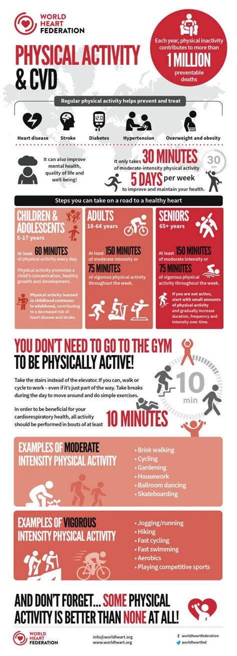Image result for Principles Physical Activity Infographic