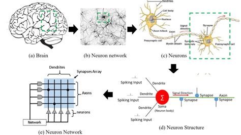 Image result for Deep Learning Neurons Example