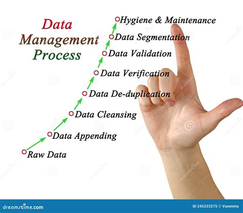 Image result for Data Management Process Guidelines