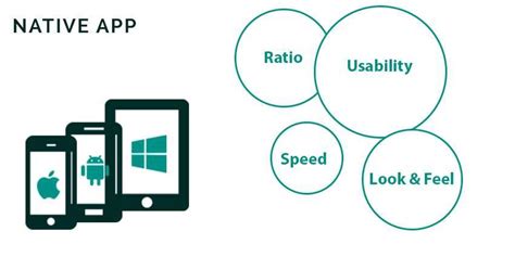 Native App Meaning に対する画像結果