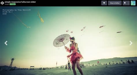 Image result for Slide Image with Button HTML/CSS