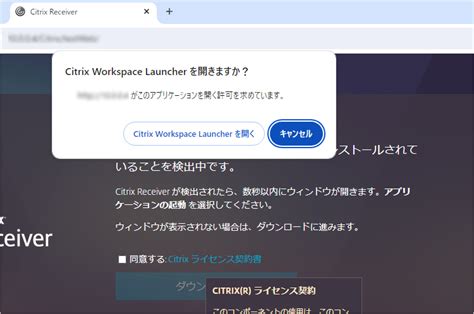 Image result for Open Citrix Workspace Launcher