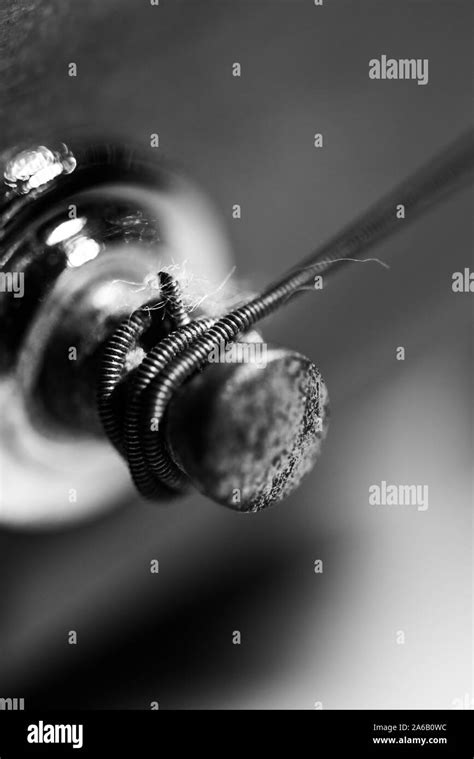 Image result for Steel Wool Guitar Strings