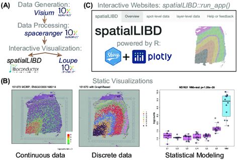 Image result for Spatially Resolved Transcriptomics