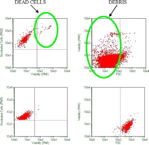 Image result for Cell Viability Assay Flow Cytometry