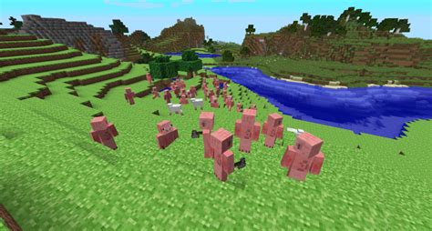 Image result for How Old Is Minecraft