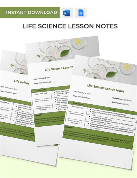 Lesson Notes for Primary School に対する画像結果