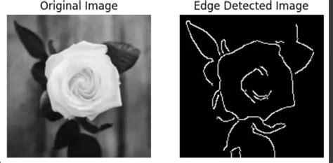 Image result for Edge Detection Computer Vision