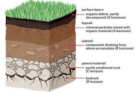 Toradh íomhá ar Line Graph Labeled Environmental Science Soil