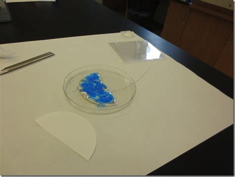 Image result for How It's Made Solar Cells