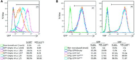 Afbeeldingsresultaten voor GFP Scatter Plot Flow Cytometry