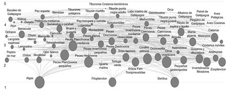 Afbeeldingsresultaten voor Ecosystem Modelling