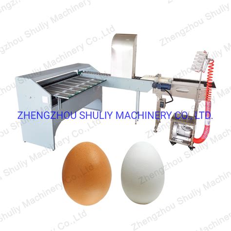 Image result for Egg Sorting Machine Design