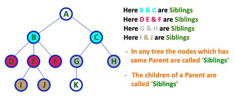 Image result for Tree Terminology Data Structure