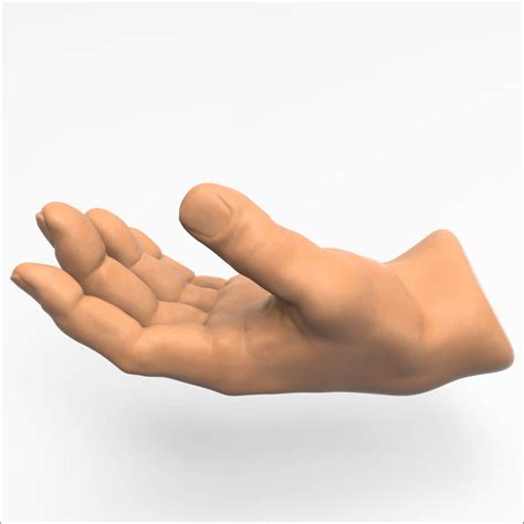 3D Hand Autodesk に対する画像結果