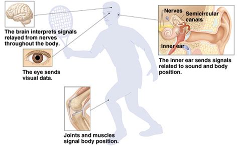 Image result for Sensitive Physical Balance