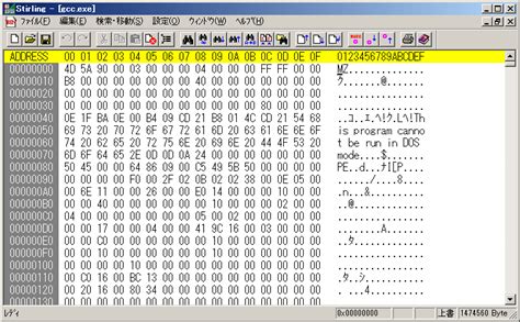 Bina File に対する画像結果