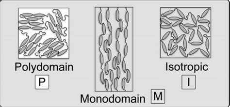 Challenges Lce に対する画像結果