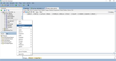 Image result for Import Connection File in SQL Developer