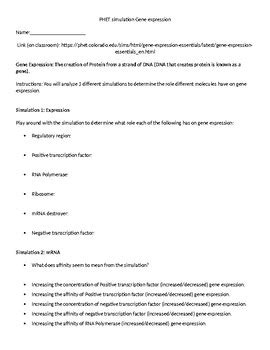 Toradh íomhá ar Gene Expression Lab Worksheet Answer Key