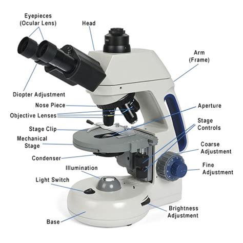 Image result for Compound Microscope Lens Diagram