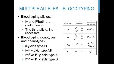 Image result for Codominance Worksheet Blood Types Answers