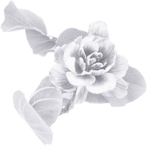 Résultat d’images pour Color Coding for Create and Close