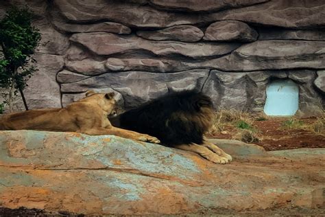 Image result for Beautiful Places in Addis Ababa