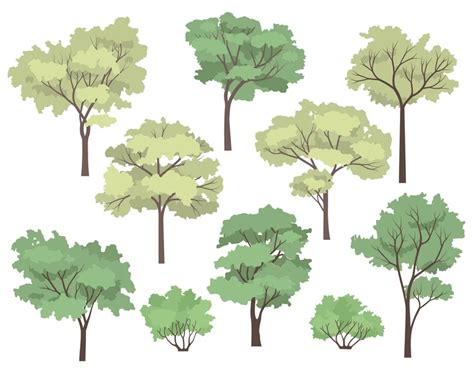 Toradh íomhá ar Free Flat Tree Vector