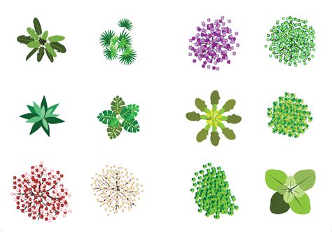 Cartoon Tree Top Vector に対する画像結果