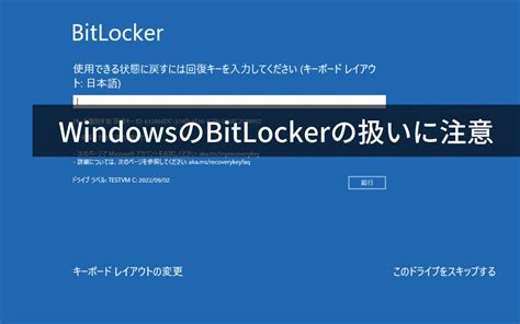 Image result for Manager BitLocker Windows 1.0