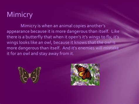 Image result for Adaptation Process in Learning Something New