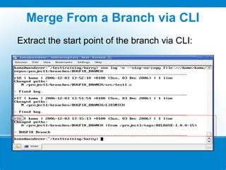 Image result for SVN Branching Best Practices