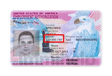 Image result for EAD Card Alien Registration Number