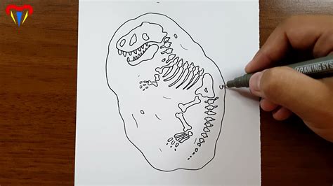 Image result for Shell Fossil Drawing