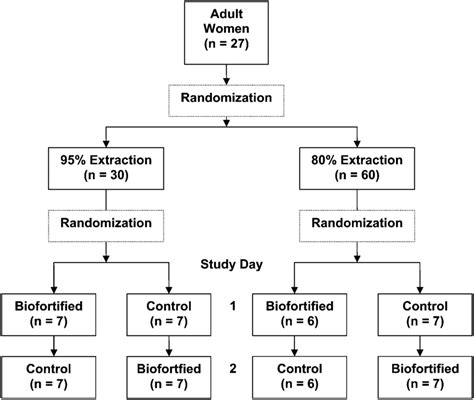 Image result for Randomization Scheme