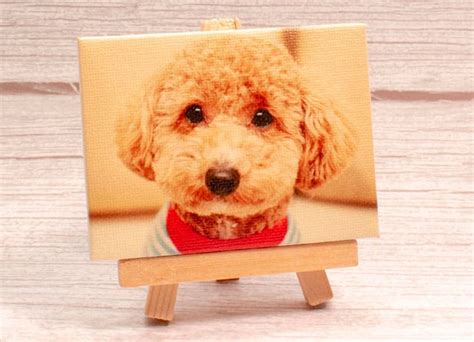 Mini Canvas Modell に対する画像結果