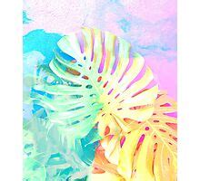 Java Bumber Red に対する画像結果