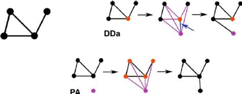 Image result for Random Growth Graph