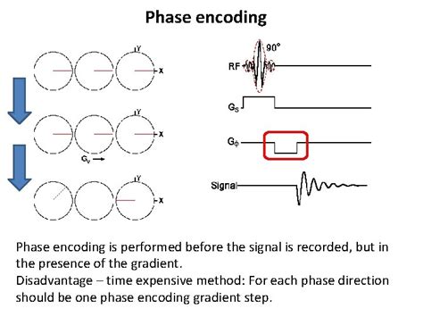 Afbeeldingsresultaten voor Phase Encoding Gradient MRI