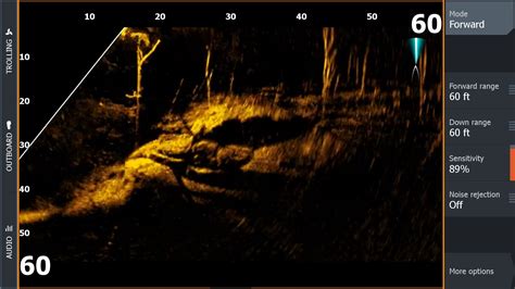 Image result for Lowrance Live View