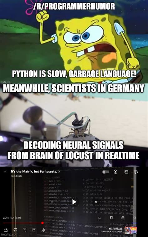 Image result for Python Is Slow Meme