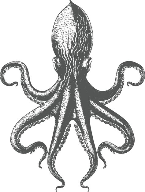 Image result for Octopus Line Art