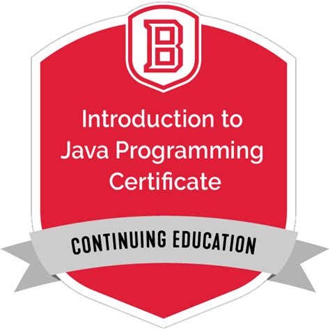 Image result for Java Educative Badge