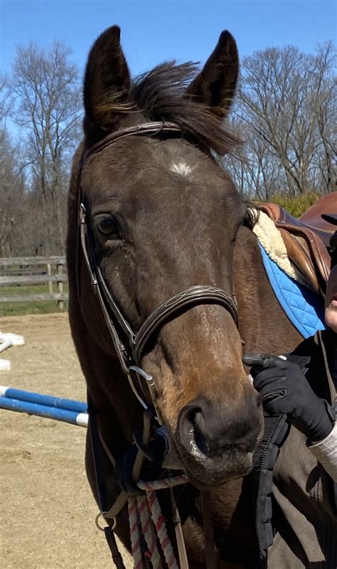 Image result for Facebook Loading Interface Image