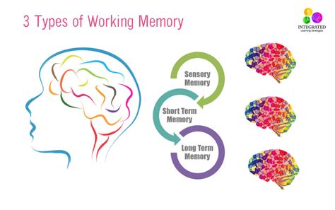 Types of Short-Term Memory に対する画像結果